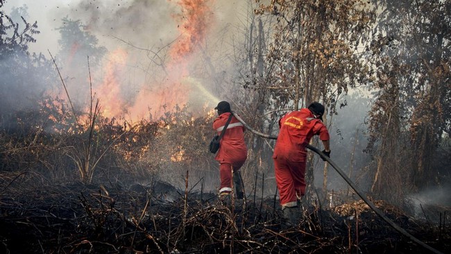 Perkembangan Situasi dan Penanganan Bencana di Tanah Air, Penanganan Karhutla di 6 Provinsi Jadi Prioritas